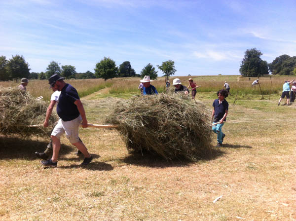 carrying hay