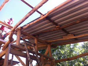 roundwood elm rafters