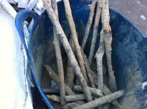 wattle sticks from 1400