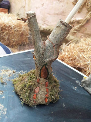 Wizardtree made from natural building materials