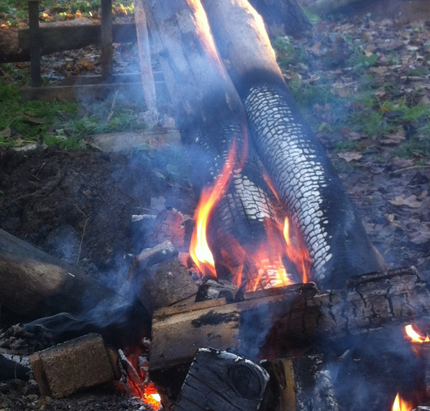 charring elm post