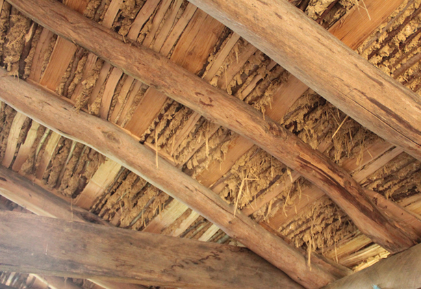Wattle and daubed roof on roundwood Elm rafters